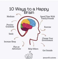 Happy Brain, Studie Hacks, Health And Fitness Articles, Healthy Brain