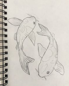 pencil drawing of two koi fish swimming together