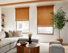 a living room filled with furniture and windows