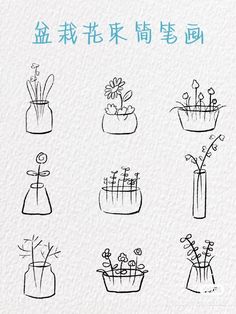 various vases with flowers and plants drawn in ink on white paper, written in chinese