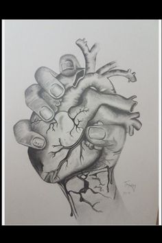 a drawing of a human heart on paper