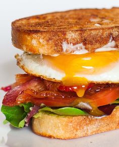 a bacon, egg and tomato sandwich on toast