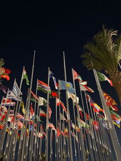 many flags are flying in the air next to palm trees