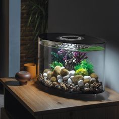 a fish tank with rocks and plants in it on a table next to a candle