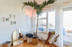 a living room filled with furniture and a palm tree next to a large mirror on the wall