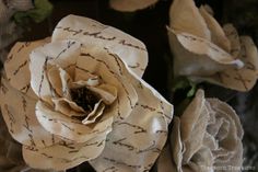 a close up of a flower on a table