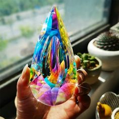 a person holding up a colorful object in front of a window with succulents