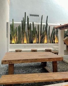 two wooden benches sitting next to each other in front of a wall with cacti