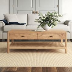 a living room with a couch, coffee table and plant in the centerpieces