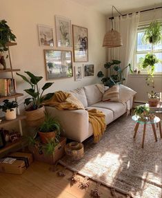 a living room filled with furniture and lots of plants on the windows sills