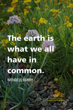 the earth is what we all have in common quote by wrendel berry on flowers