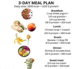 the meal plan for 3 day meal plan is shown in this graphic above it's description