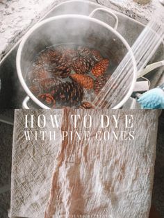 a book about how to dye with pine cones is sitting on a kitchen counter top