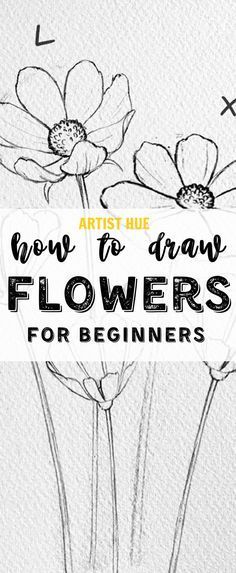 flowers with the words, how to draw flowers for beginners on top of it