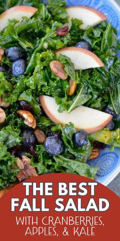 the best fall salad with cranberries, apples, and kale on a plate