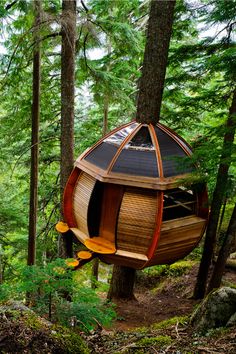 a tree house in the middle of a forest