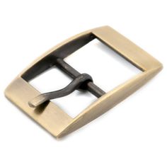 a gold and black belt buckle on a white background with clipping for the clasp