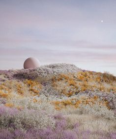 an egg sitting on top of a hill covered in purple and yellow flowers next to the moon