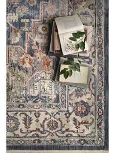 Magnolia Home By Joanna Gaines | Loloi Janey JAY03 7'10" Rug by Magnolia Home by Joanna Gaines in Blue | Mathis Home Joanna Gaines Rugs, Loloi Rugs, Magnolia Homes, Antique Inspiration, Joanna Gaines, Power Loom, Magnolia, Loom, Color Palette