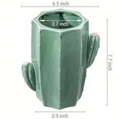 a green cactus planter is shown with measurements