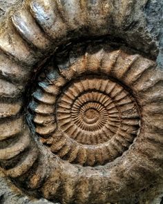 an image of a spiral shaped rock formation