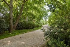 a gravel road surrounded by trees and bushes