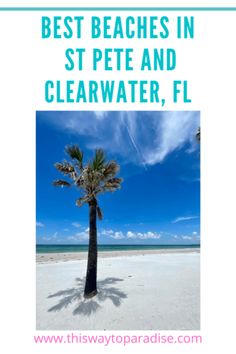 a palm tree with the words best beaches in st pete and clearwater, fl