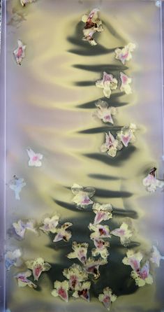 an abstract painting with white and pink flowers floating in water on a light colored background