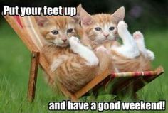 two kittens sitting in a wooden chair with caption that reads, put your feet up and have a good weekend