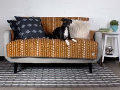 a black and white dog sitting on top of a couch next to a table with two pillows