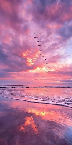 a flock of birds flying over the ocean under a colorful sky at sunset or sunrise