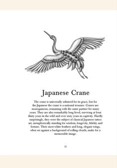 an illustration of a crane flying in the sky with its wings spread out, and it is