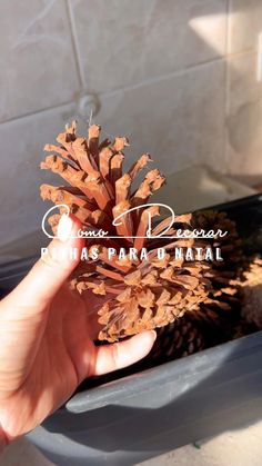 a hand is holding a pine cone in front of a sink with the words miss papa on it