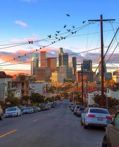 many cars are parked on the street in front of tall buildings and birds flying over them