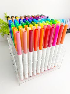 several different colored pens are lined up in a rack on a table next to a plant