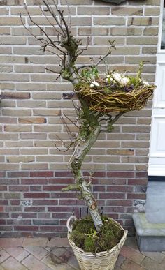 a bird's nest sitting on top of a tree in front of a brick wall