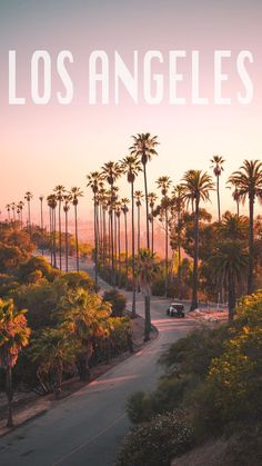 a road with palm trees and the words los angeles on it