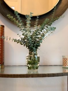 a vase filled with green plants sitting on top of a table next to a mirror