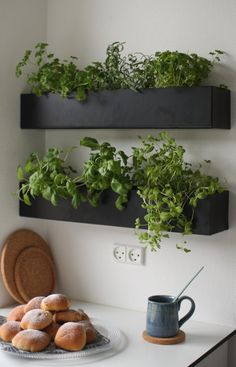 two black wall mounted planters with plants in them on top of a white counter