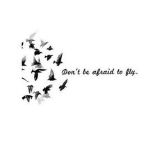 a flock of birds flying in the sky with a quote written on it that says don't be afraid to fly