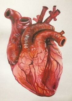 Alpha And Omega, Výtvarné Reference, Lino Art, Artist Working, Human Anatomy Art, Blood Art, Arte Obscura, Human Heart