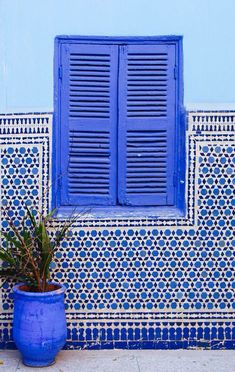 a potted plant sitting in front of a blue and white wall with shutters