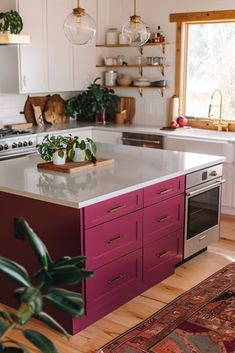 a kitchen with an island in the middle and lots of plants on top of it