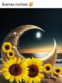 the sunflowers are sitting in front of the moon and stars on the beach