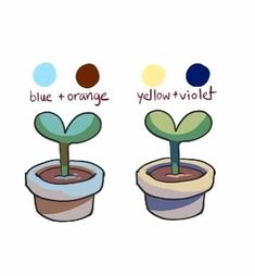 three potted plants with the words blue, orange, yellow and red in each