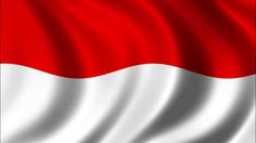 the national flag of indonesia is waving in the wind and it appears to be wavy