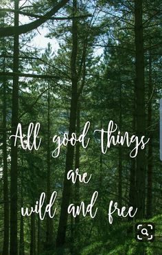 the words all good things are wild and free in white lettering on a forest background