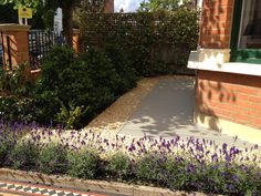 purple flowers are growing in front of a brick building with a small garden area next to it