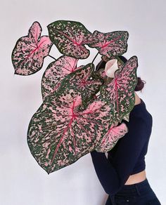 a woman holding a large pink and green plant