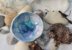 a bowl sitting on top of a pile of rocks next to seaweed and other seashells